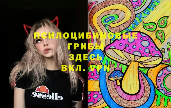 крисы Протвино