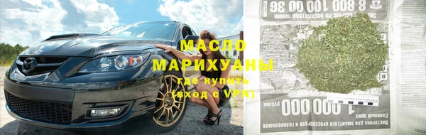 тгк Абаза