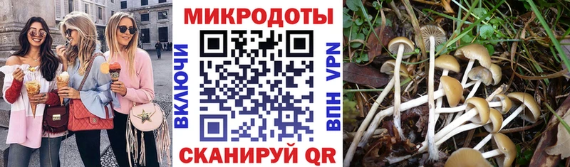 Галлюциногенные грибы Cubensis  Каменногорск 